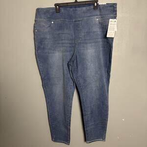 NWT Seven7 Plus High-Rise Tummy Toner Skinny Jean Lunar New Women’s Spot 24W